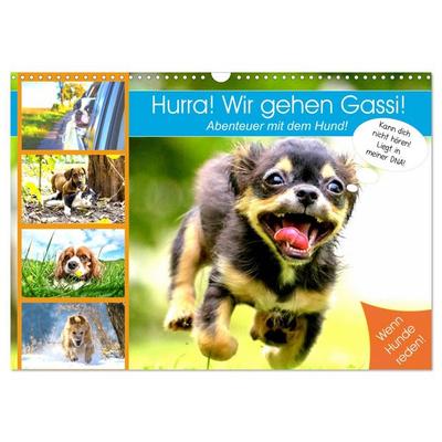Hurra! Wir gehen Gassi! Abenteuer mit dem Hund! (Wandkalender 2026 DIN A3 quer), CALVENDO Monatskalender