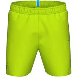 ARENA Herren Badeshorts FUNDAMENTALS LOGO BOXER, Größe L in Grün 663