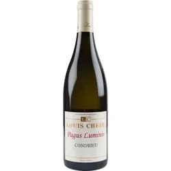 Pagus Luminis 2024 - Louis Cheze