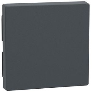 Merten Schalter-Wippe 433114 System M, für Lichtschalter, anthrazit