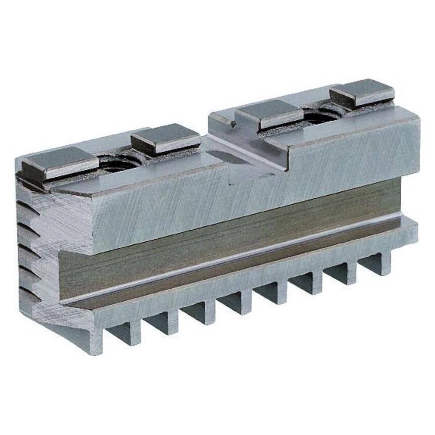 Bison Backen für SP 3500 Modellnummer 3200-160 (398535730000)