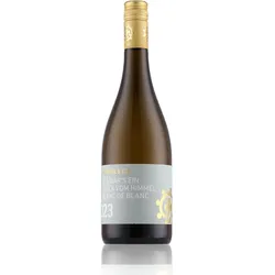 Hammel & Cie Als wär's ein Stück vom Himmel Blanc de Blanc trocken 2023 12,5% Vol. 0,75l