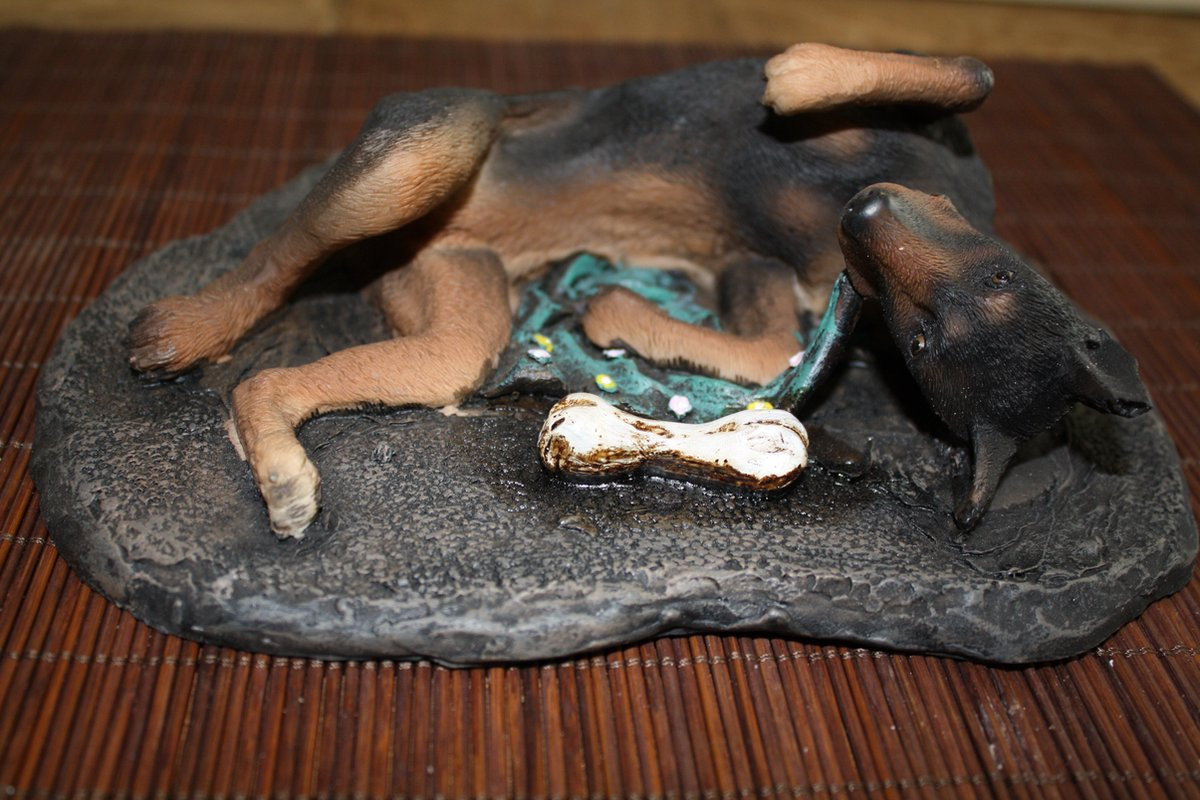 Dobermann Tabletop voor volwassenen