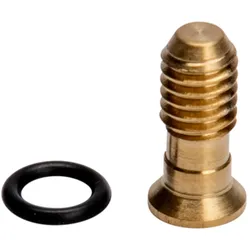 RENZ Spezialschraube M4x10 PVD-beschichtet