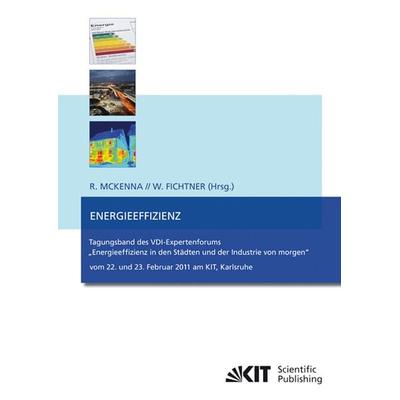 Energieeffizienz : Tagungsband des VDI-Expertenforums, Taschenbuch von Russell McKenna, KIT Scientific Publishing, 978-3-86644-710-3