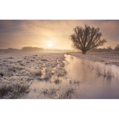 Fototapete PAPERMOON "Winterlandschaft", bunt, B:4,5m L:2,8m, Vlies, Tapeten