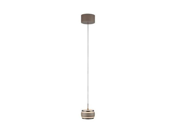 Paul Neuhaus Pendelleuchte Pure-Falling Rings 1-flammig, LED, Fe