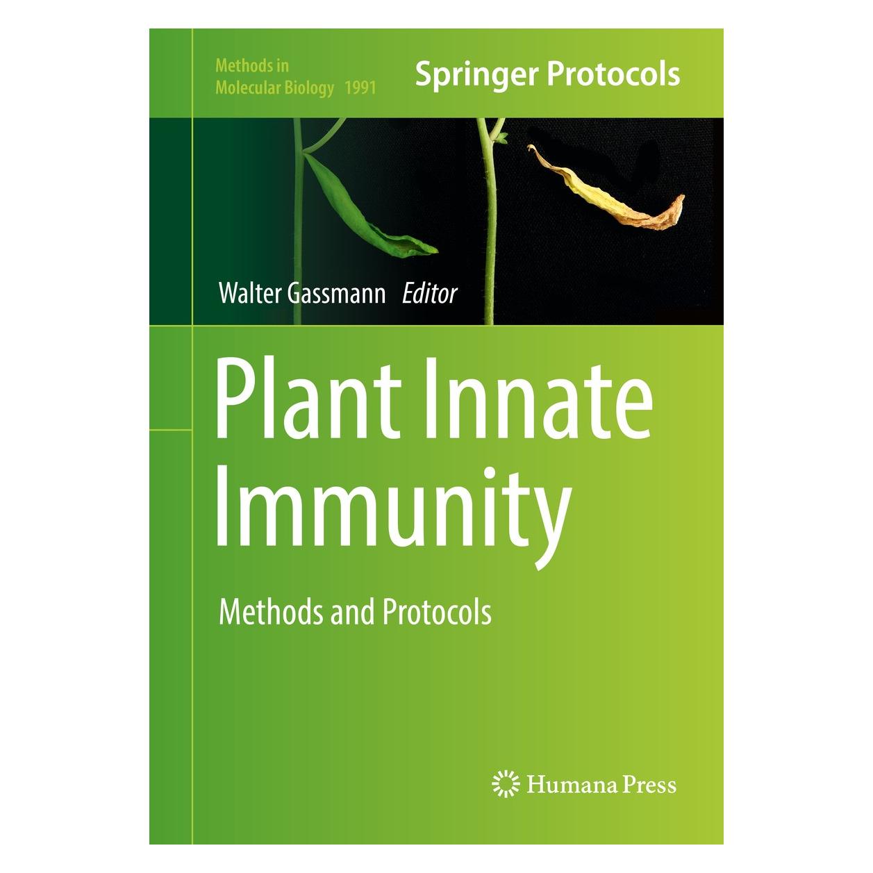 Springer Plant Innate Immunity (Englisch, Hardcover, Walter Gassmann) (9781493994571)