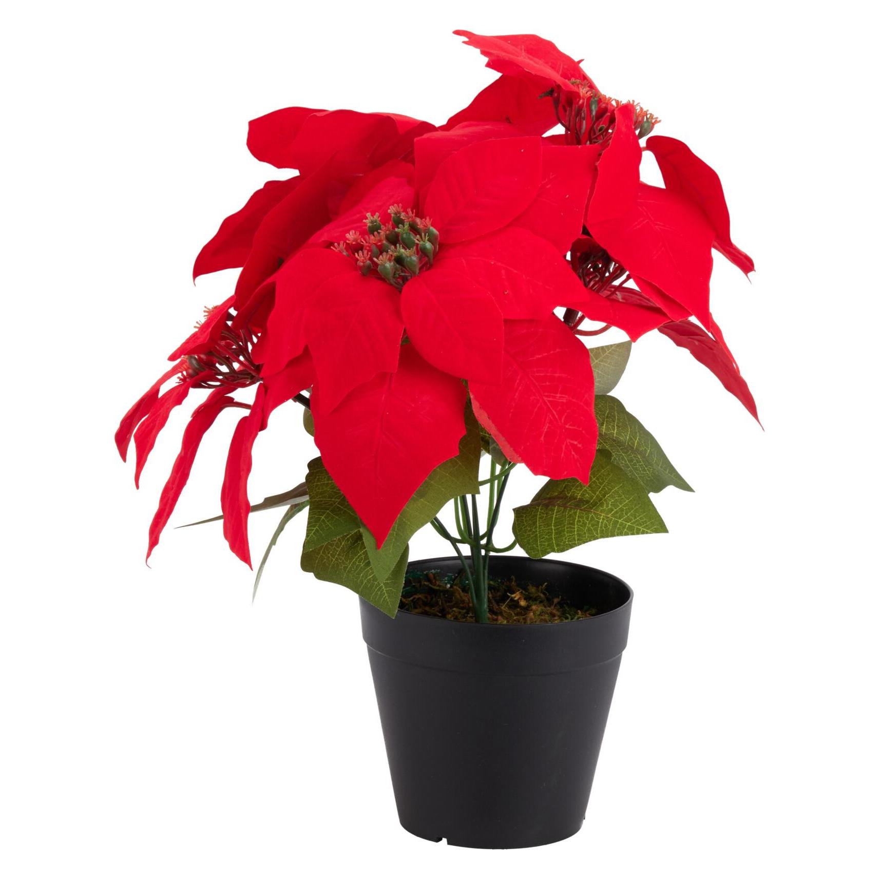 Artificial flower, poinsettia, 30 cm (30 cm) (60868446)