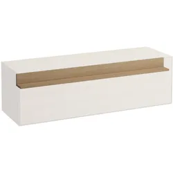 LAUFEN interne Ablage Boutique für Ladenelement, H4092451502501 H4092451502501