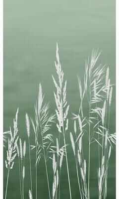 Veer Decor Willow Grass Wall Mural