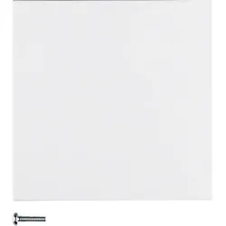 Hager/Berk Taste 1fach polarweiß matt 85141188