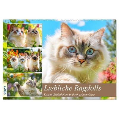 Liebliche Ragdolls. Katzen-Schönheiten in ihrer grünen Oase (Wandkalender 2027 DIN A2 quer), CALVENDO Monatskalender