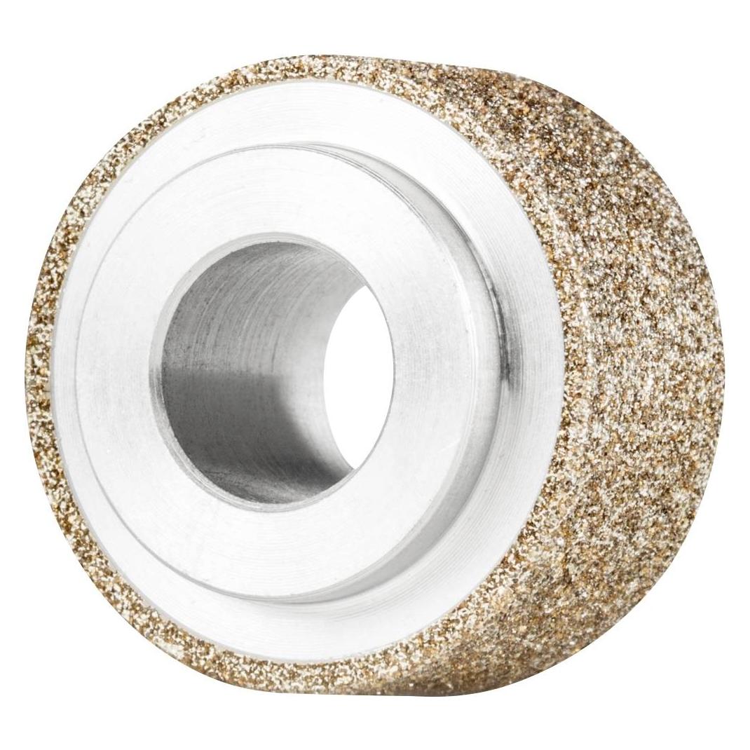 Pferd B1A1 20-10-8 B 151 (B 151) (B1A1 20-10-8 B 151)