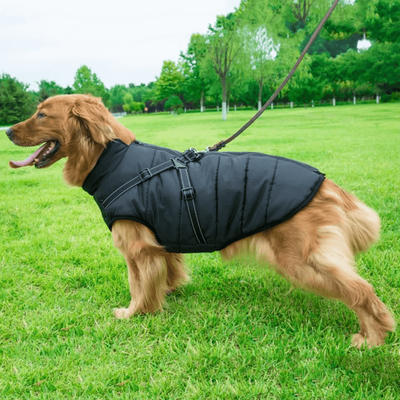 PetsAreLife Dog Coat With Zipper On Back Black 2XL