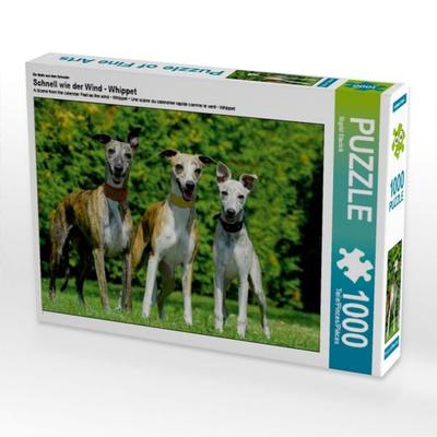 CALVENDO Puzzle Ein Motiv aus dem Kalender Schnell wie der Wind - Whippet | 1000 Teile Lege-Größe 64x48cm Foto-Puzzle für glückliche Stunden