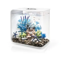 biOrb FLOW 30 LED weiß (72034)