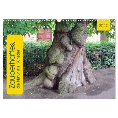 Zauberhaftes, die Natur als Künstler (Wandkalender 2027 DIN A3 quer), CALVENDO Monatskalender