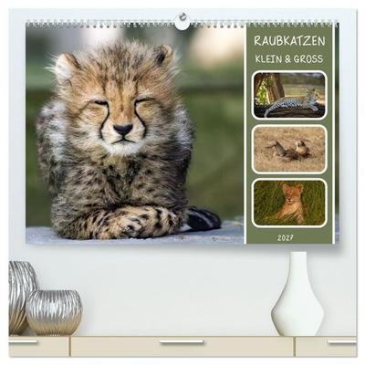 Raubkatzen - groß & klein (hochwertiger Premium Wandkalender 2027 DIN A2 quer), Kunstdruck in Hochglanz