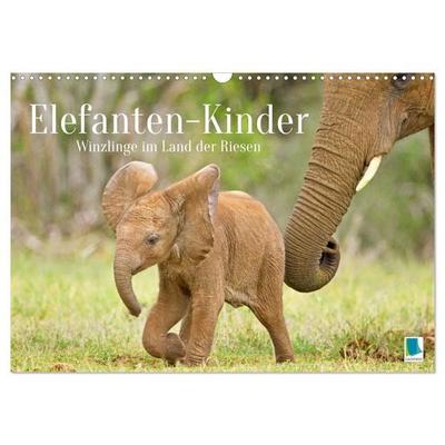 Elefantenkinder: Winzlinge im Land der Riesen (Wandkalender 2026 DIN A3 quer), CALVENDO Monatskalender