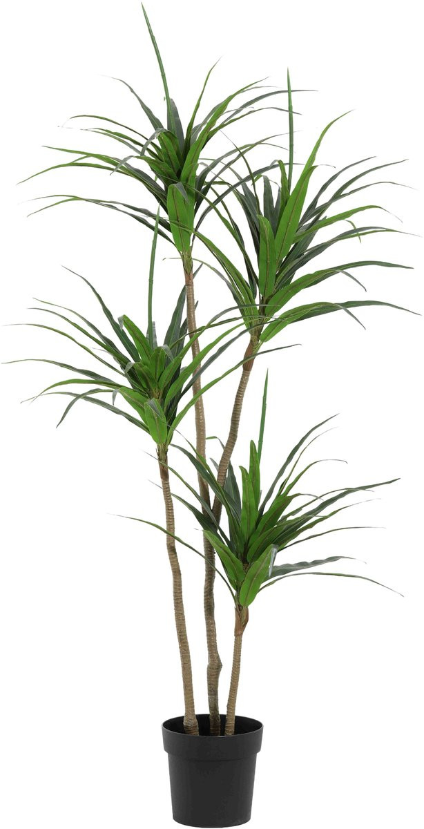 Florafy Kunstplant Dracaena 165cm - Groene kunstplant voor binnen - Onderhoudsvrij