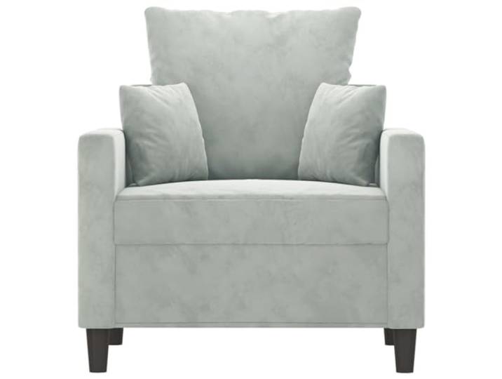 KTHLBRH Sessel hellgrau 60 cm Samt Gepolsterter Sessel, Metallrahmen, Schaumstoff, 110 kg, Wohnzimmer