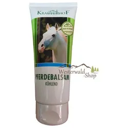 Kühlendes Massagebalsam Gel Creme 100ml Tube – Belebend Erfrischend Wohltuend
