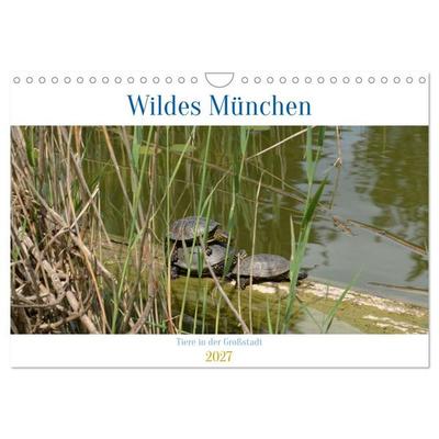 Wildes München (Wandkalender 2027 DIN A4 quer), CALVENDO Monatskalender