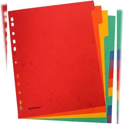 DONAU 8671112-99 Register - blanko, Karton, A4 ÜB, 12 Blatt, 6-farbig