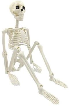 Inspired Finds Posable Human Skeleton Halloween Horror Decoration Posable Human Skeleton Halloween Horror Decoration