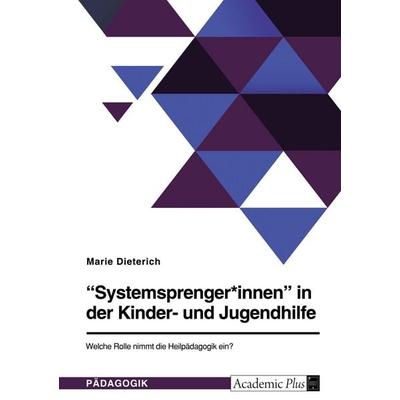 'Systemsprenger*innen' in der Kinder- und Jugendhilfe. Welche Rolle nimmt die Heilpädagogik ein?, Taschenbuch von Marie Dieterich, GRIN,