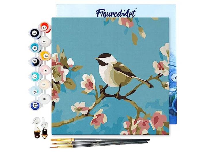 Figured'Art Mini Schilderen op Nummer Volwassenen 20x20cm met lijst Vogel op tak - Klein Formaat Creatieve Hobby Kit DIY Art Nummer Compleet