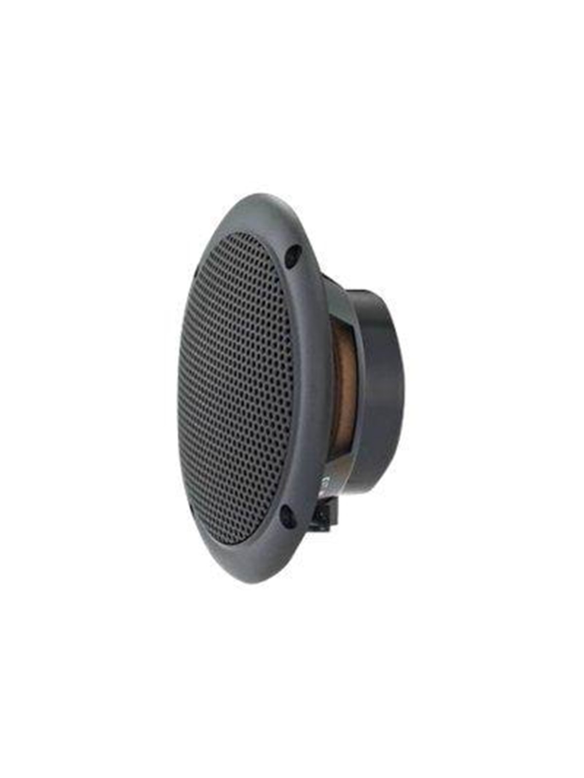Visaton FR 10 WP 4 OHM - speaker