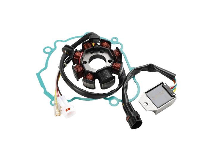 Topteng VILLE Stator Sotchi et joint pour Beta RR 300 250 Racing X-Trainer 2T 2013-2023