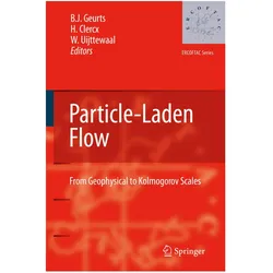 Particle-Laden Flow, Fachbücher
