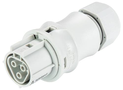 Wieland Electric 96.031.0153.0 Steckverbinder