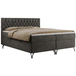 BOXBETT GRIMALDI 120/200 Dunkelgrau Velvet - H3