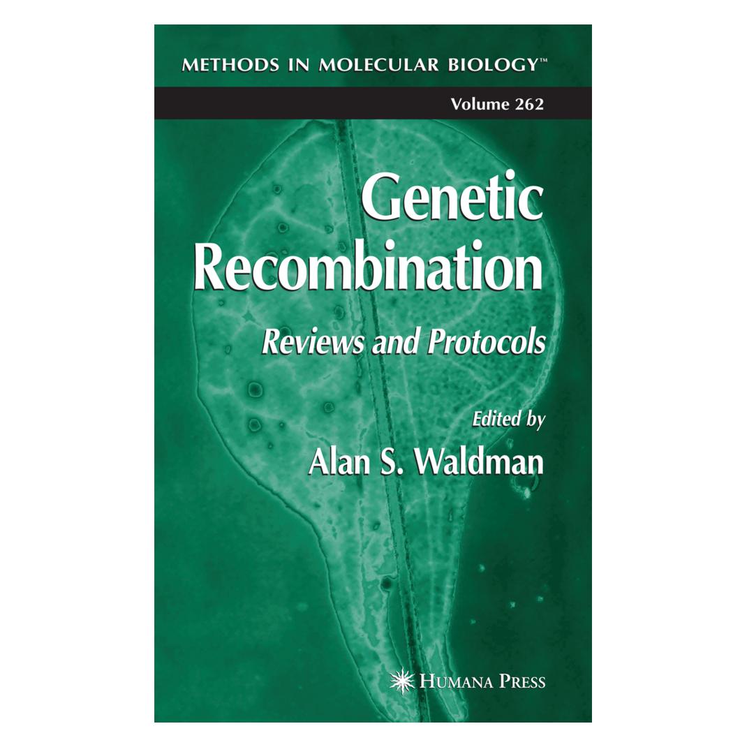 Springer Genetic Recombination (Englisch, Softcover, Alan S. Waldman) (55382728)