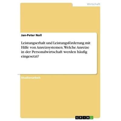 Leistungserhalt und Leistungsförderung mit Hilfe von Anreizsystemen. Welche Anreize in der Personalwirtschaft werden häufig eingesetzt?, Taschenbuch