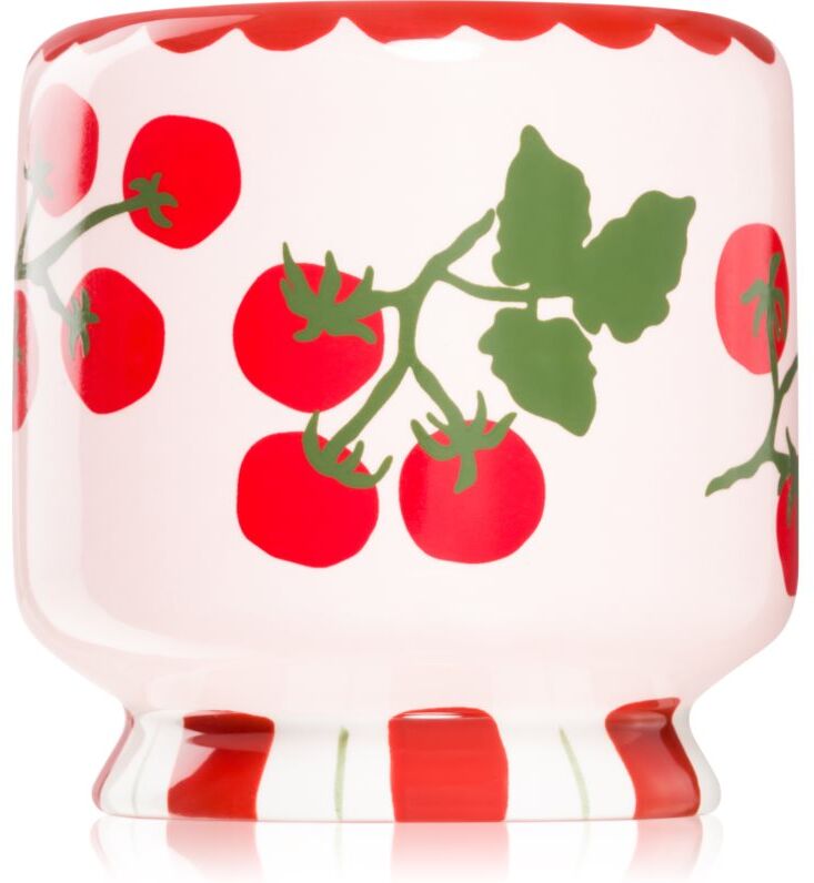 Paddywax A Dopo Tomato Vine bougie parfumée 226 g
