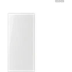 Jung Abdeckung transparent Einl Schrift.25x52,5 A 50NA