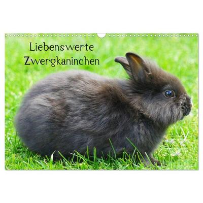 Liebenswerte Zwergkaninchen (Wandkalender 2026 DIN A3 quer), CALVENDO Monatskalender