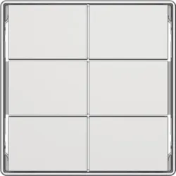BERKER sechsteilige Taste Tastsensor matt 81183029 polws Ind. Bedruckung