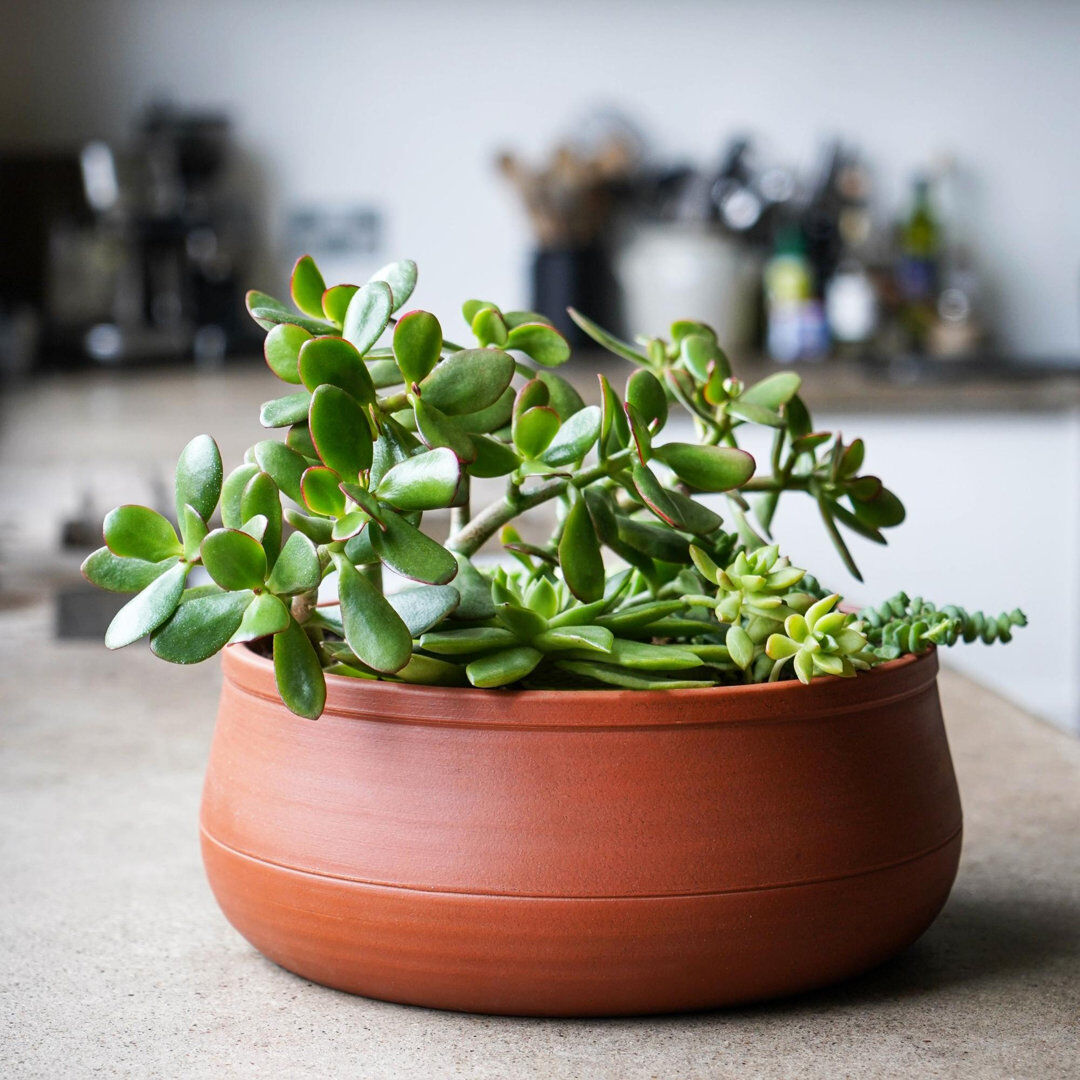 Ivyline Kew Handthrown Statement Bowl Umber 14 cm H x 38 cm W x 38 cm D
