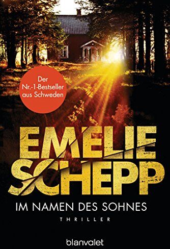 Emelie Schepp - Im Namen des Sohnes: Thriller (Jana Berzelius, Band 4) - Preis vom 09.10.2026 07:28:09 h
