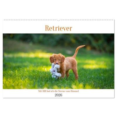 Retriever - Mit DIR hol ich die Sterne vom Himmel (Wandkalender 2026 DIN A2 quer), CALVENDO Monatskalender