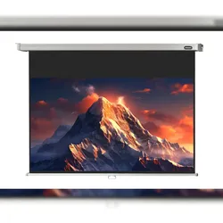 celexon Leinwand Rollo Professional 300 x 169 cm - 136`