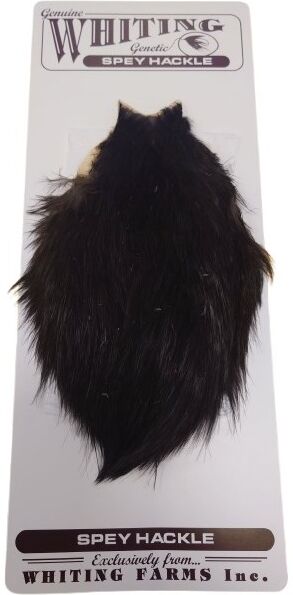 Whiting Spey Hackle Hen Cape-Black