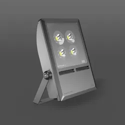 RZB LED-Strahler 721718.0031