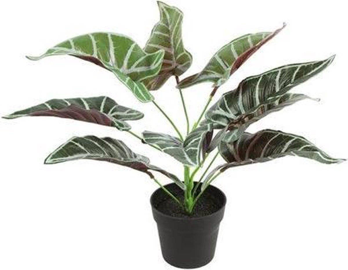 Kunstplant Alocasia groen 32 cm